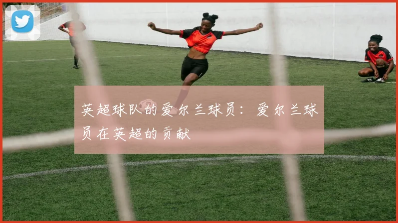 英超球队的爱尔兰球员:爱尔兰球员在英超的贡献