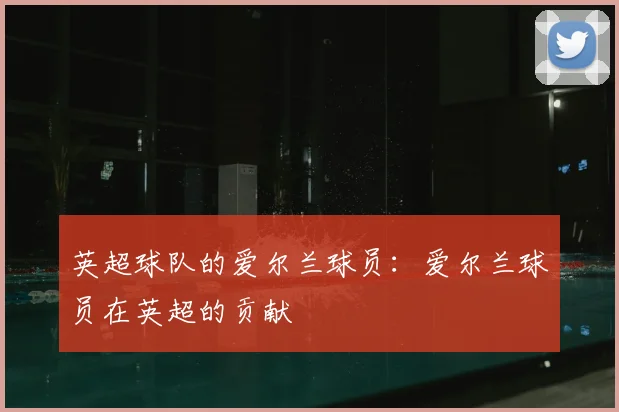 英超球队的爱尔兰球员:爱尔兰球员在英超的贡献