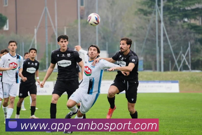 安博体育服务体系